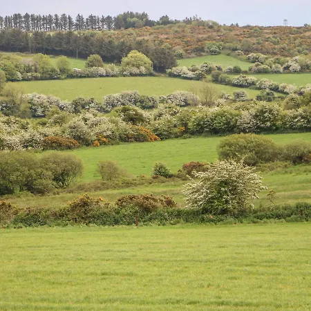 Hébergement de vacances Fern Youghal